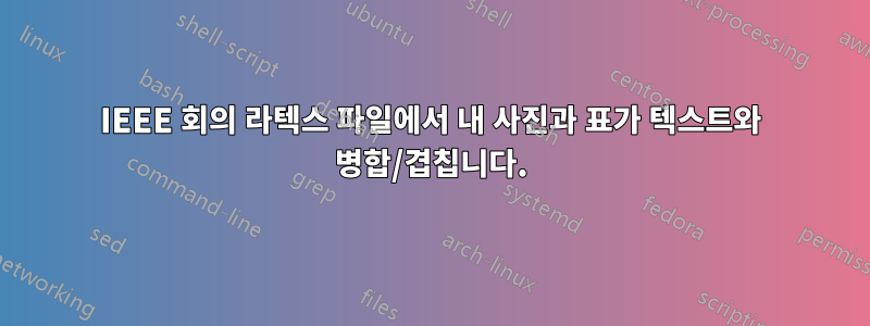 IEEE 회의 라텍스 파일에서 내 사진과 표가 텍스트와 병합/겹칩니다.