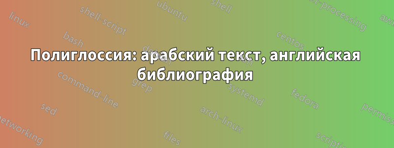 Полиглоссия: арабский текст, английская библиография
