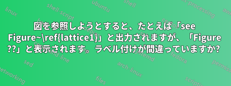 図を参照しようとすると、たとえば「see Figure~\ref{lattice1}」と出力されますが、「Figure ??」と表示されます。ラベル付けが間違っていますか? 