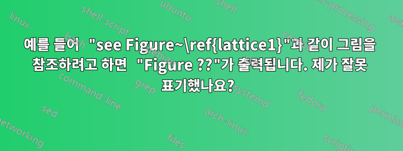 예를 들어 "see Figure~\ref{lattice1}"과 같이 그림을 참조하려고 하면 "Figure ??"가 출력됩니다. 제가 잘못 표기했나요? 