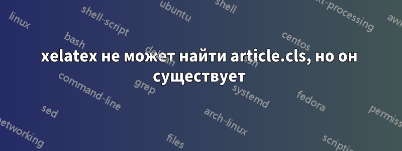 xelatex не может найти article.cls, но он существует