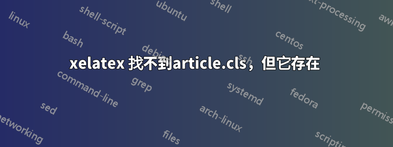 xelatex 找不到article.cls，但它存在