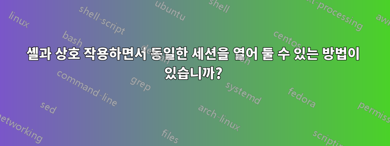 셸과 상호 작용하면서 동일한 세션을 열어 둘 수 있는 방법이 있습니까?