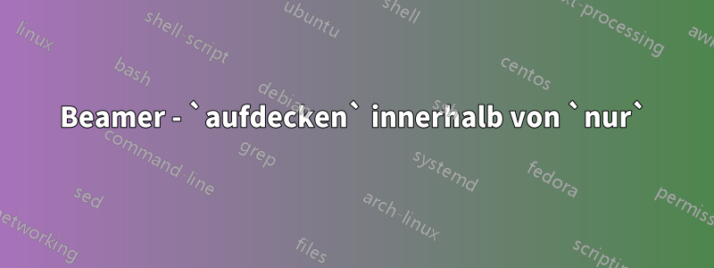 Beamer - `aufdecken` innerhalb von `nur`