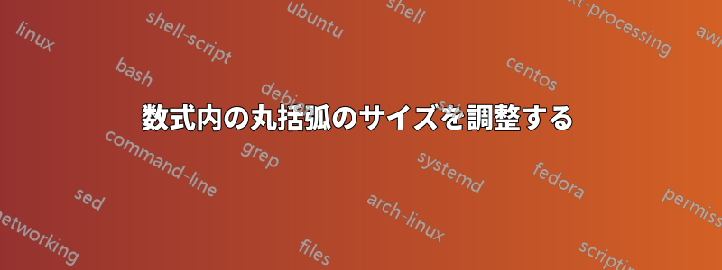 数式内の丸括弧のサイズを調整する