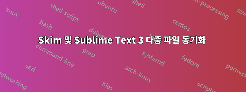 Skim 및 Sublime Text 3 다중 파일 동기화