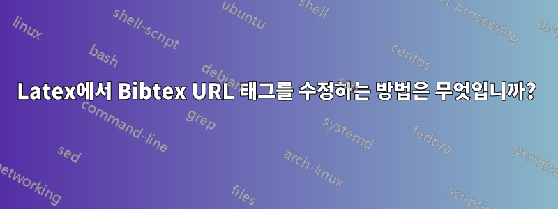 Latex에서 Bibtex URL 태그를 수정하는 방법은 무엇입니까?