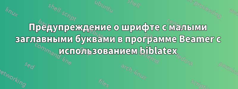 Предупреждение о шрифте с малыми заглавными буквами в программе Beamer с использованием biblatex