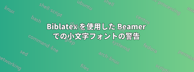 Biblatex を使用した Beamer での小文字フォントの警告