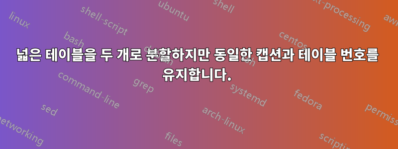 넓은 테이블을 두 개로 분할하지만 동일한 캡션과 테이블 번호를 유지합니다.