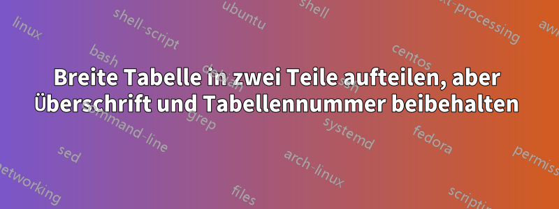 Breite Tabelle in zwei Teile aufteilen, aber Überschrift und Tabellennummer beibehalten