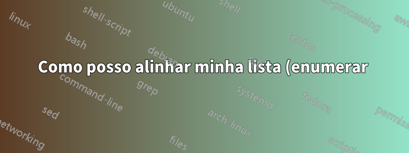 Como posso alinhar minha lista (enumerar) com o início do meu parágrafo?