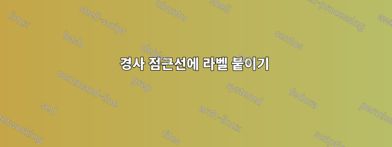 경사 점근선에 라벨 붙이기