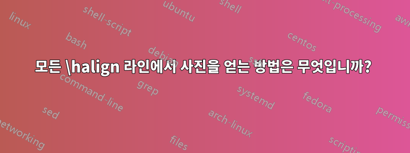 모든 \halign 라인에서 사진을 얻는 방법은 무엇입니까?