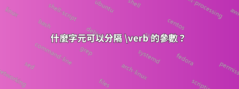 什麼字元可以分隔 \verb 的參數？