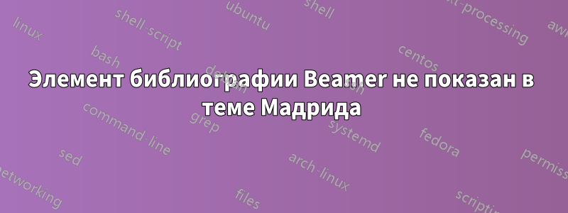 Элемент библиографии Beamer не показан в теме Мадрида