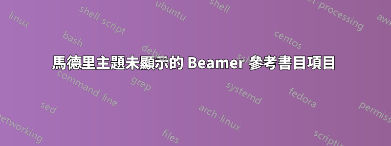 馬德里主題未顯示的 Beamer 參考書目項目