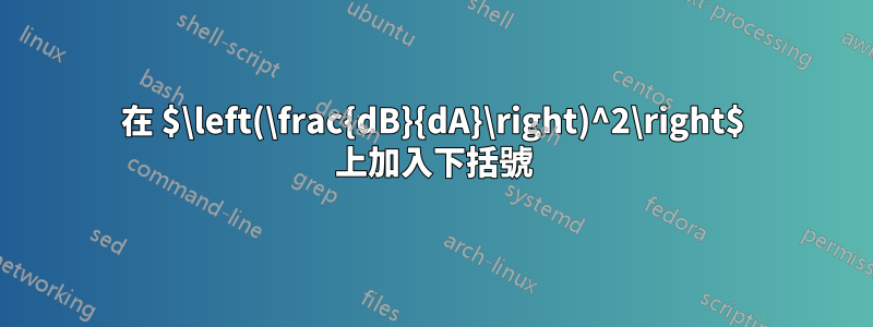 在 $\left(\frac{dB}{dA}\right)^2\right$ 上加入下括號