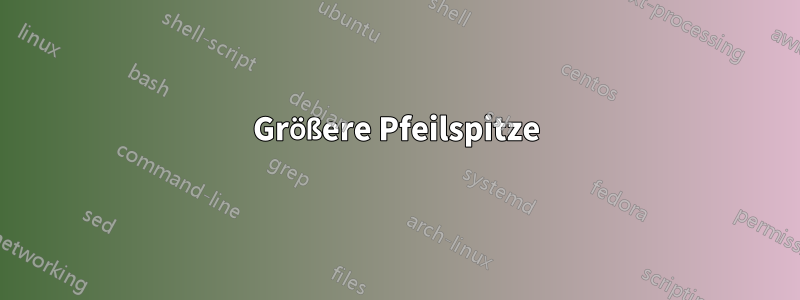 Größere Pfeilspitze