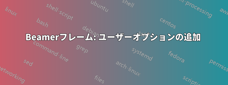 Beamerフレーム: ユーザーオプションの追加