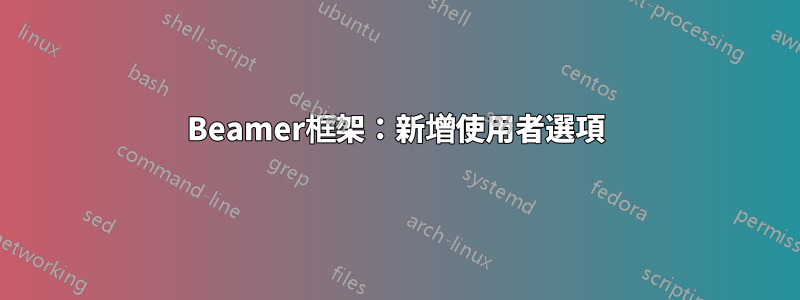 Beamer框架：新增使用者選項