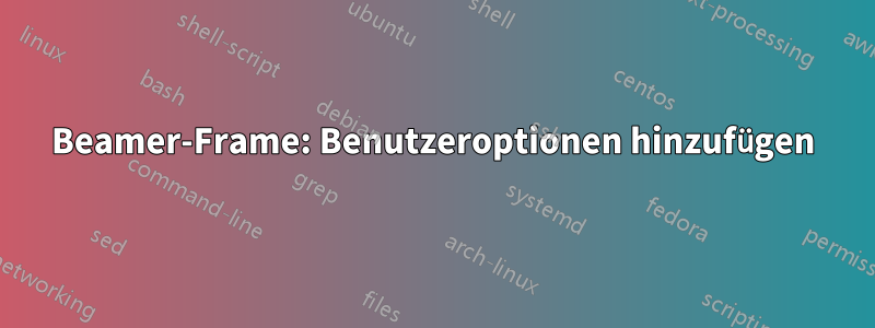 Beamer-Frame: Benutzeroptionen hinzufügen