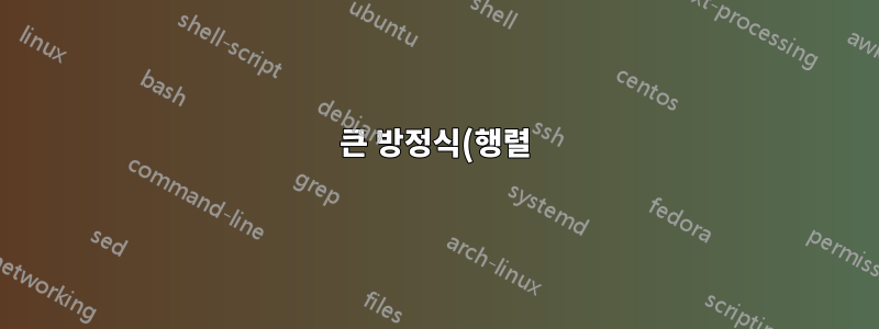 큰 방정식(행렬) 관련 문제