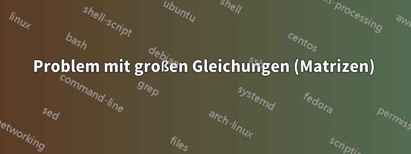 Problem mit großen Gleichungen (Matrizen)