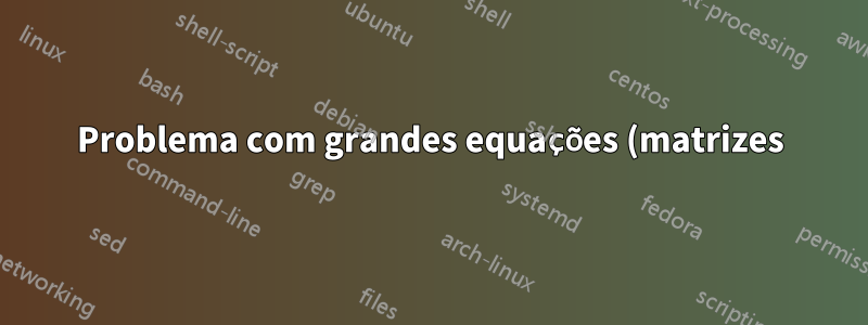 Problema com grandes equações (matrizes)