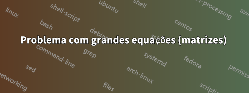 Problema com grandes equações (matrizes)