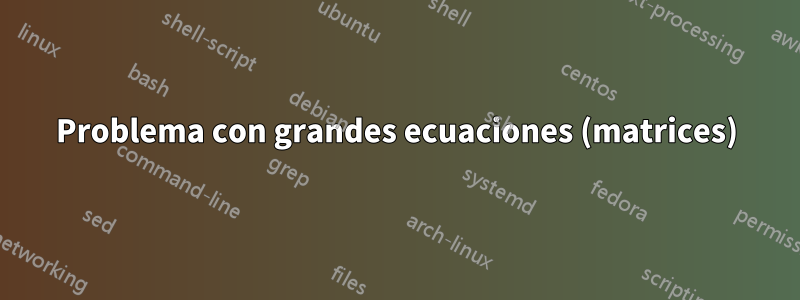 Problema con grandes ecuaciones (matrices)