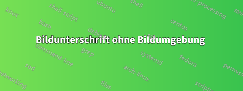 Bildunterschrift ohne Bildumgebung