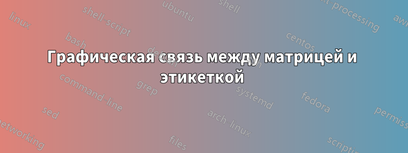 Графическая связь между матрицей и этикеткой