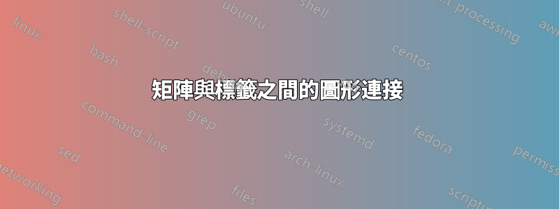 矩陣與標籤之間的圖形連接