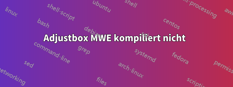 Adjustbox MWE kompiliert nicht 