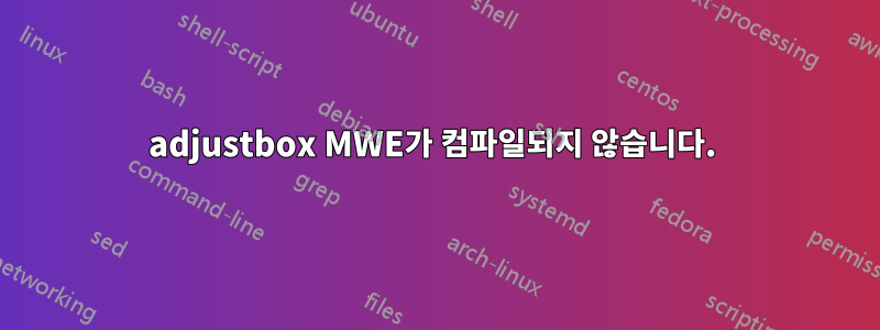 adjustbox MWE가 컴파일되지 않습니다. 