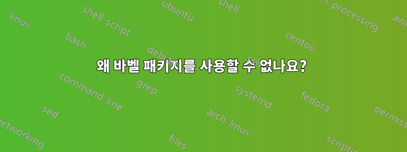 왜 바벨 패키지를 사용할 수 없나요?