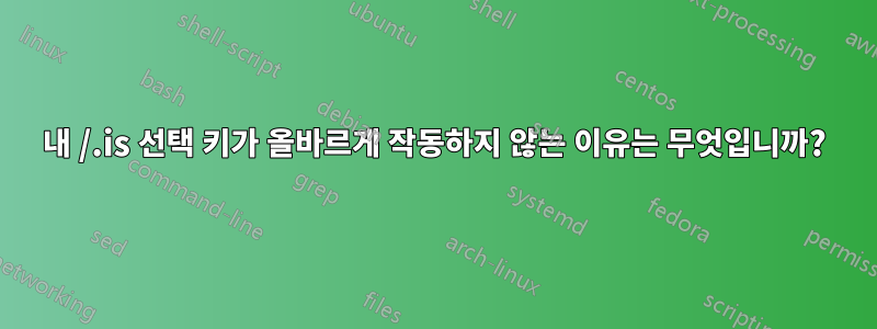 내 /.is 선택 키가 올바르게 작동하지 않는 이유는 무엇입니까?