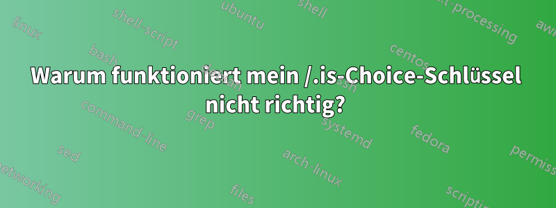 Warum funktioniert mein /.is-Choice-Schlüssel nicht richtig?