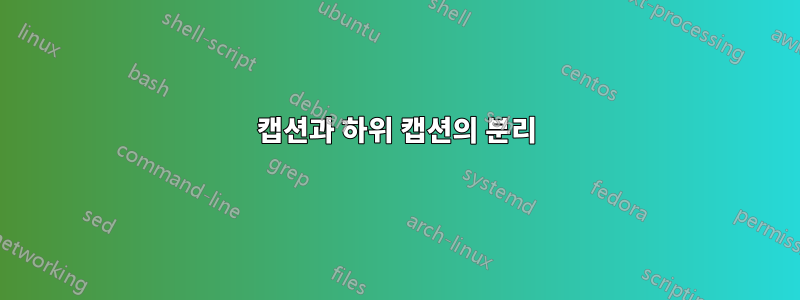 캡션과 하위 캡션의 분리