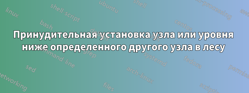 Принудительная установка узла или уровня ниже определенного другого узла в лесу