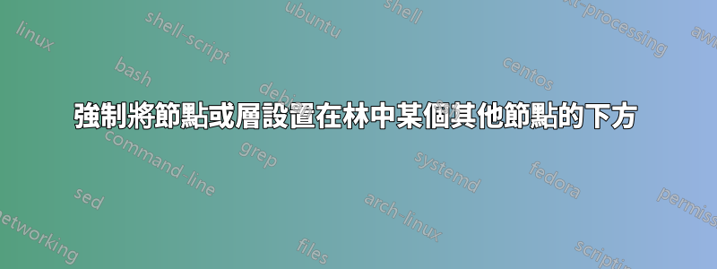 強制將節點或層設置在林中某個其他節點的下方