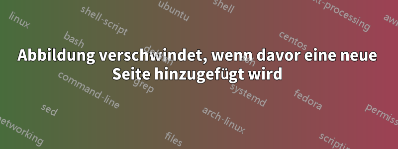 Abbildung verschwindet, wenn davor eine neue Seite hinzugefügt wird