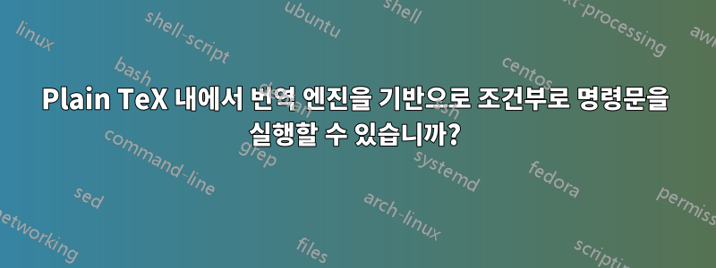 Plain TeX 내에서 번역 엔진을 기반으로 조건부로 명령문을 실행할 수 있습니까?