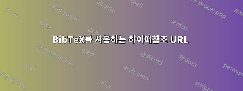 BibTeX를 사용하는 하이퍼참조 URL