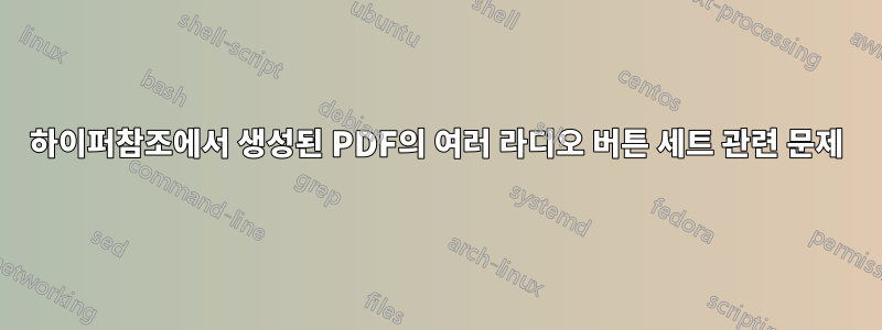 하이퍼참조에서 생성된 PDF의 여러 라디오 버튼 세트 관련 문제