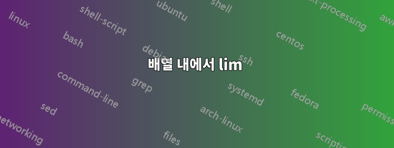 배열 내에서 lim