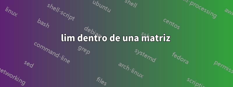lim dentro de una matriz
