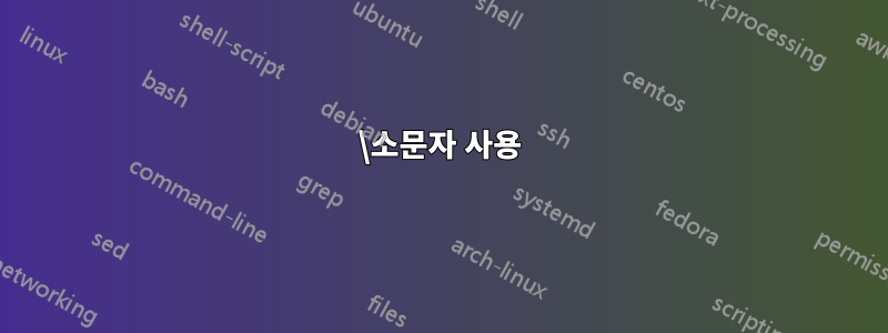 \소문자 사용