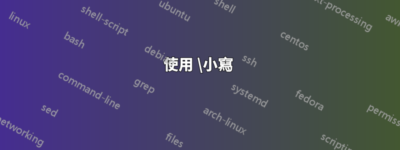 使用 \小寫